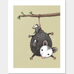 Opossum Family Posters and Art